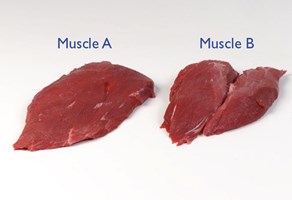 Meat Cut Spec Step 4